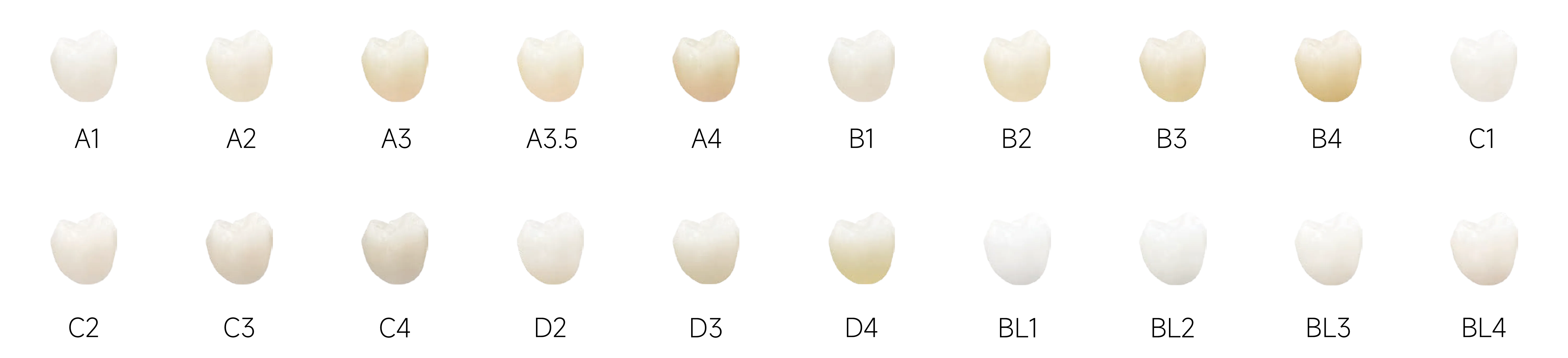 魅影全能_画板 1 副本 5 拷贝.webp