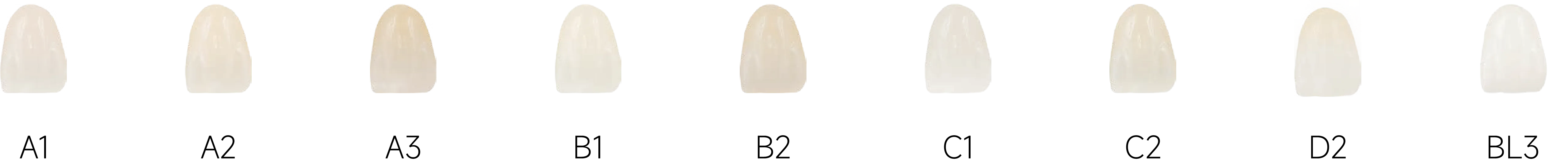 魅影HYBRID_5.webp