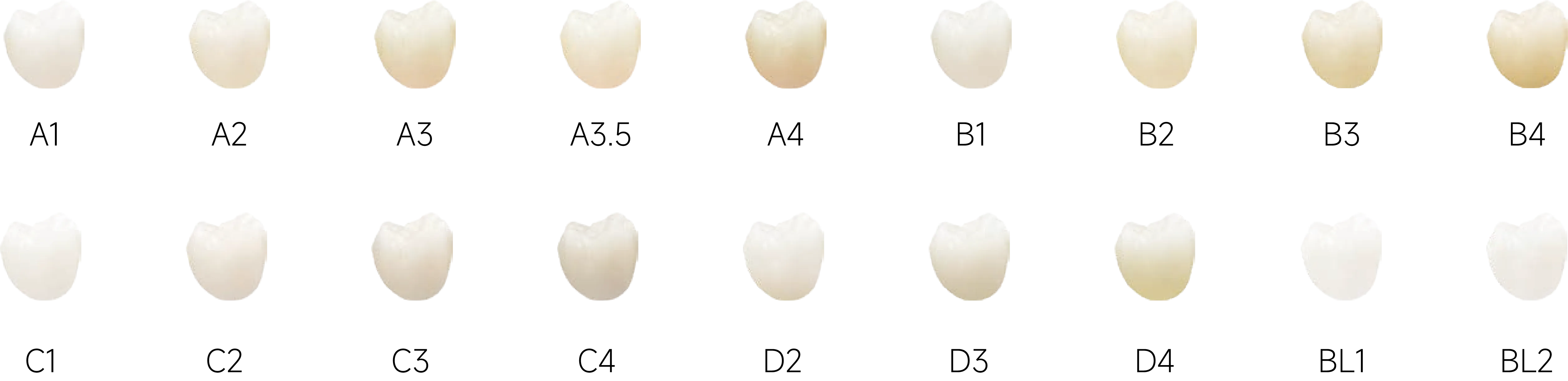 TT-ONE(Pre-shaded)_4.webp
