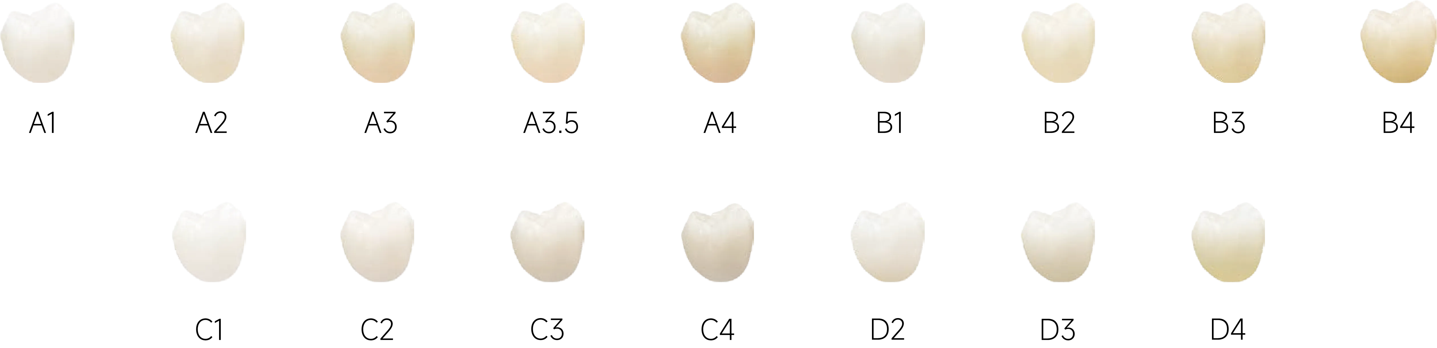 瓷倍健ST-ML_4.webp