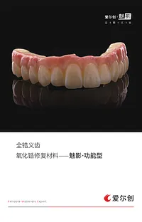 魅影功能型.webp