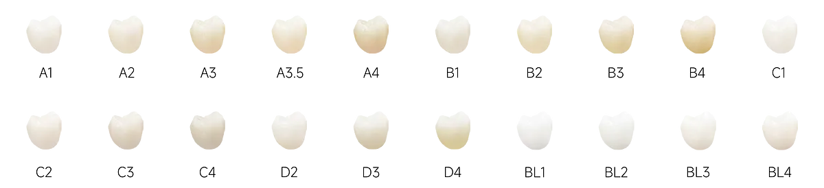 魅影全能_画板 1 副本 5 拷贝.webp